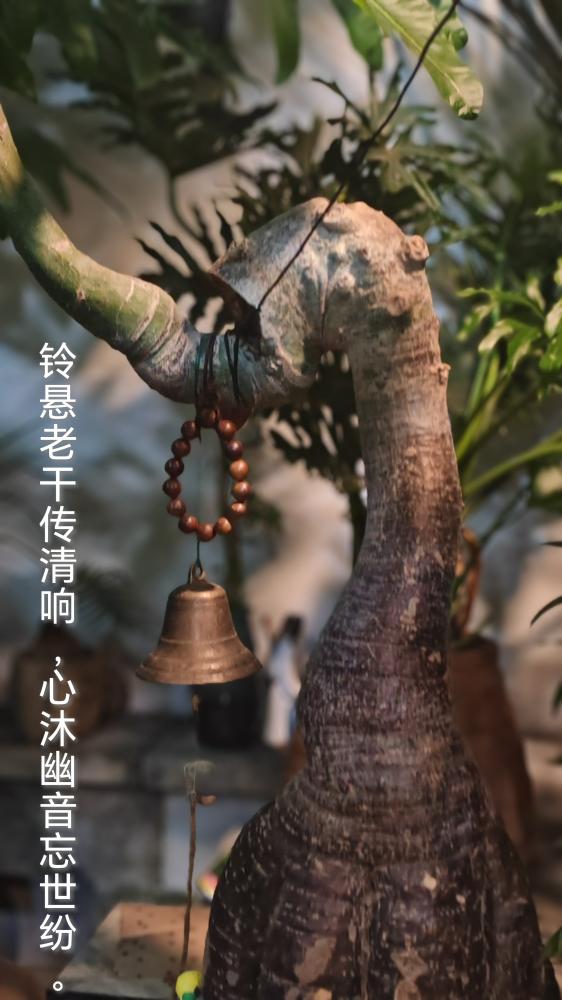 【铃悬老干传清响，心沐幽音忘世纷。】